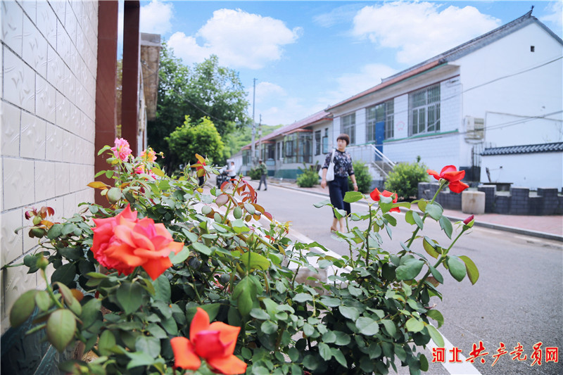 【乡村振兴好榜样】迁安市刘新庄村:秀美山村如诗画