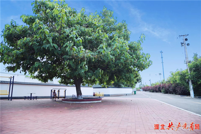 【乡村振兴好榜样】迁安市刘新庄村:秀美山村如诗画