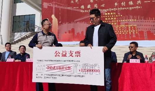 支持高原建筑人才队伍建设 平安银行广州分行助力西藏波密县乡村振兴