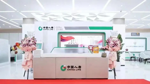 文化聚共识 人才筑基石 改革促发展