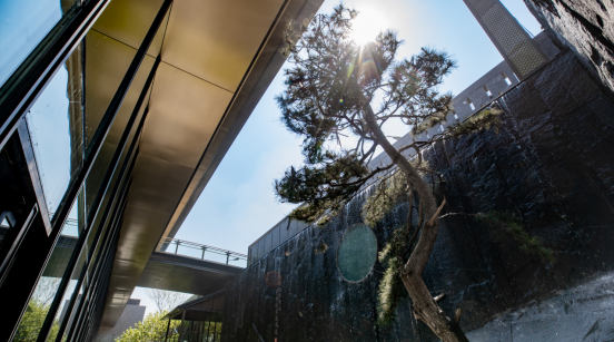 塔吊的旋转 鉴证了时代变革与行业之殇 塔吊的旋转 鉴证了时代变革与行业之殇