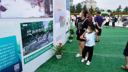 2022中国·珲春国际东北虎豹节举行