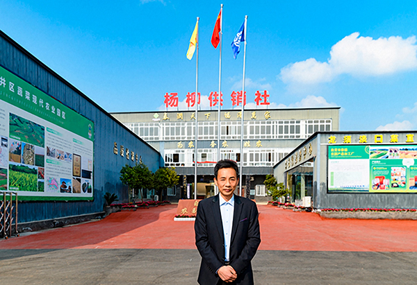 自贡贡井:龙须淡口菜制作技艺非遗传承人罗淮良的“大头菜”情缘_fororder_1龙须淡口菜制作技艺非遗传承人罗淮良