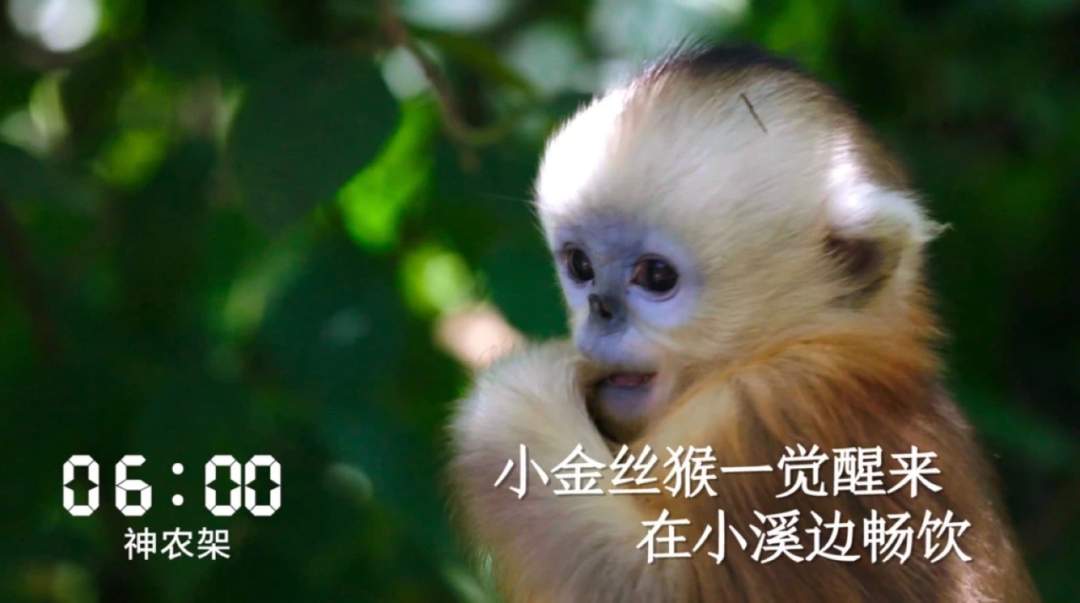 一天24小时，湖北在发生什么