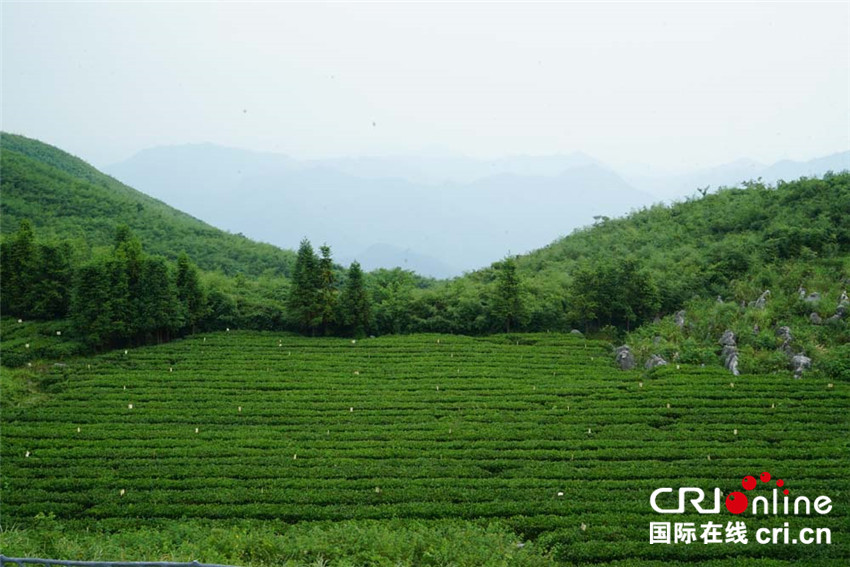 隐藏在湘中腹地的世外桃源—安化云台山