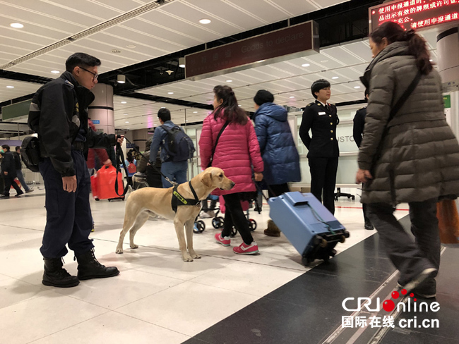 春节临近香港海关加强边境执法 打击跨境走私