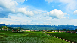 重庆巫山生态农业：绿了青山富了民