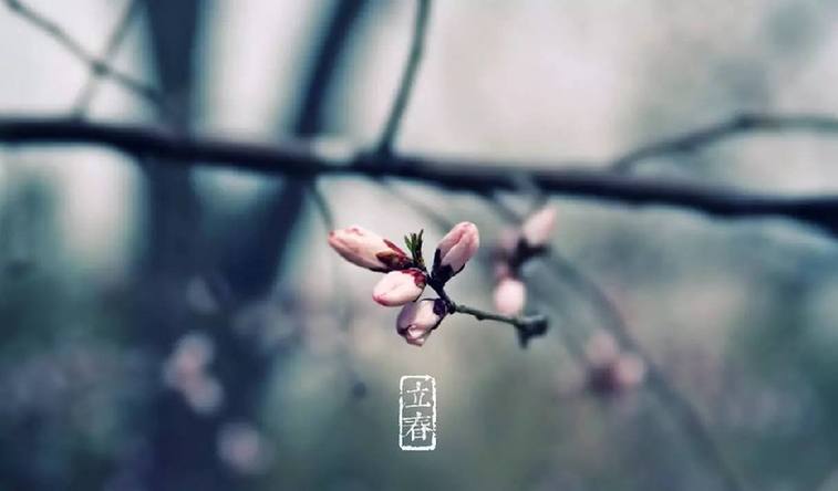 一年之计在于春，立春诗话知多少？