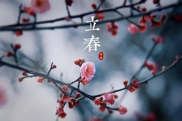 一年之计在于春，立春诗话知多少？