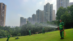 【原创】重庆绿化养护工人：用汗水守护城市绿色