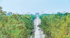 北京3公里南中轴线御道景观贯通