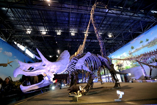 【旅游资讯-图片】西峡恐龙文化描绘水墨龙乡
