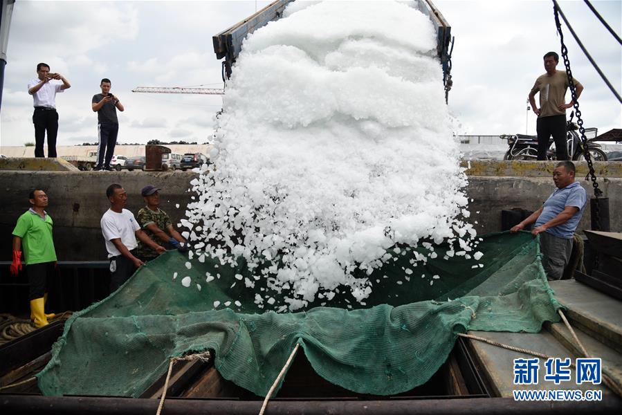 山东日照迎来开海季 山东日照迎来开海季