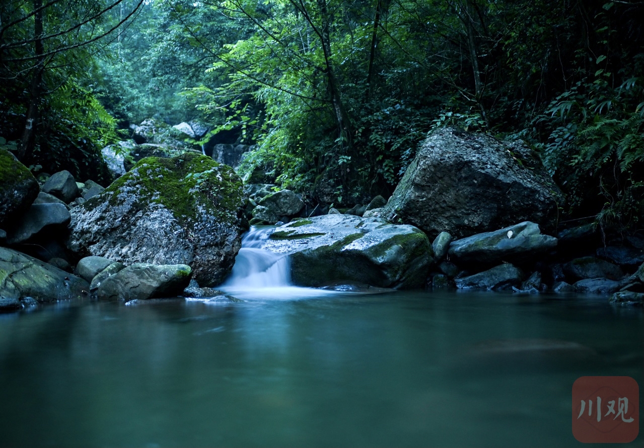 （转载）流萤点点 灿若繁星 探寻大邑山中萤火虫秘境