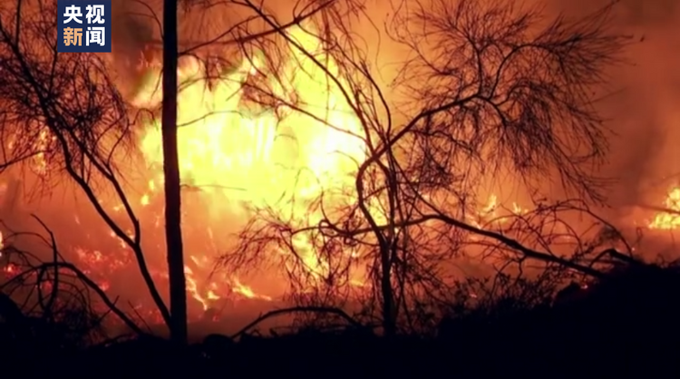 欧美多国热浪持续 林火肆虐