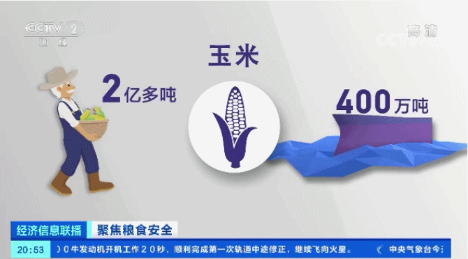 世界濒临严重粮食危机 中国老百姓的“米袋子”会受影响吗