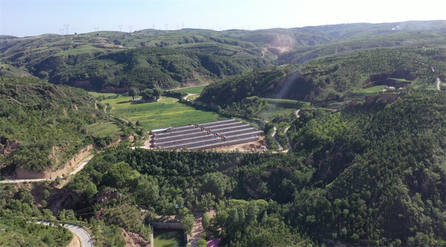 榆林市府谷县杨家沟村:新时代新作为 宜居宜业宜游_fororder_微信图片_20220805162300