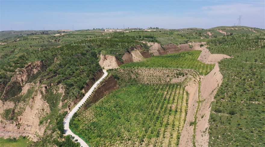 榆林市府谷县杨家沟村:新时代新作为 宜居宜业宜游_fororder_微信图片_20220805162320