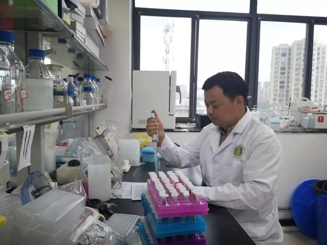 “袁三代”吴俊：坚守田间的“稻草人”