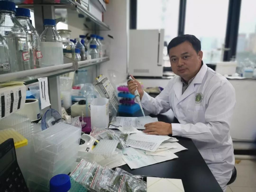 “袁三代”吴俊：坚守田间的“稻草人”