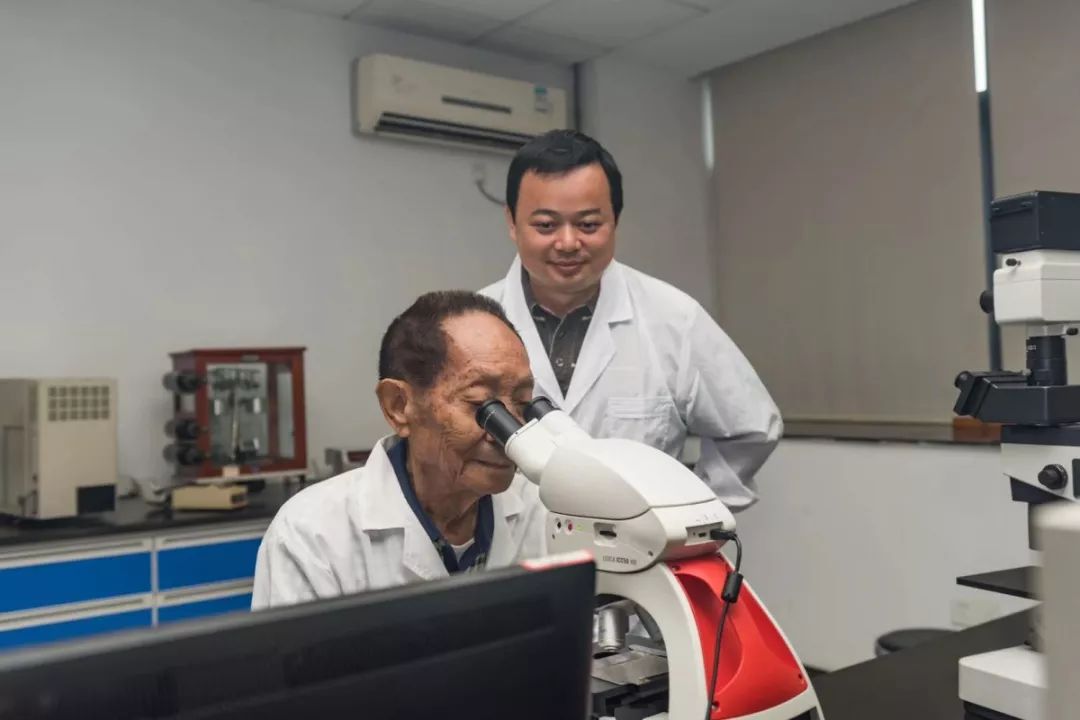 “袁三代”吴俊：坚守田间的“稻草人”