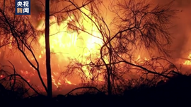 欧美多国热浪持续 林火肆虐