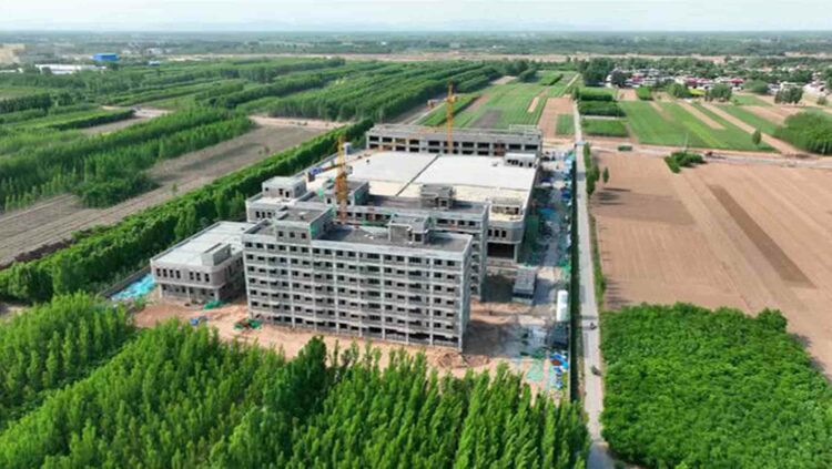 河北定州:提升营商“软实力” 锻造发展“硬内核”