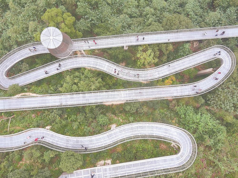 图片默认标题_fororder_bc12285a-e683-4197-a9af-a9da2259df6b