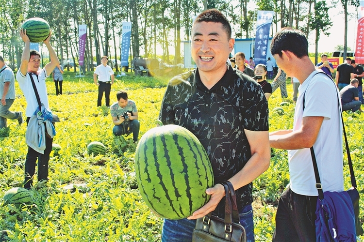 田园美景绘就林甸旅游新画卷