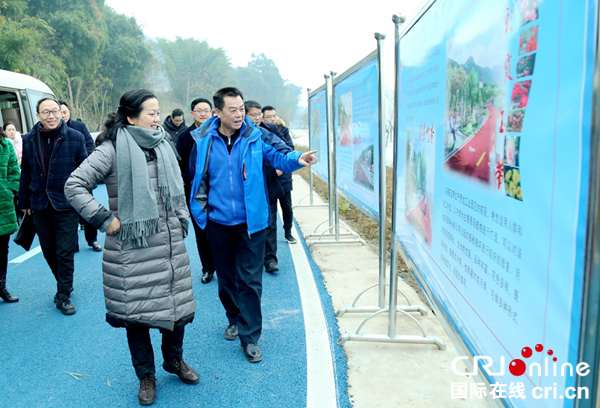 图片默认标题_fororder_李敏一行调研南溪区长江综合治理项目