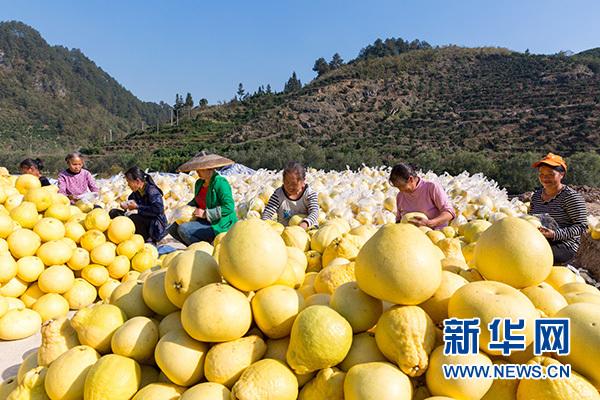 Buah-Buahan Dengan Kadar Gula Tinggi_fororder_水果2020080506