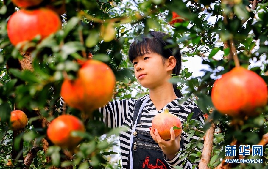 Buah-Buahan Dengan Kadar Gula Tinggi_fororder_水果2020080510