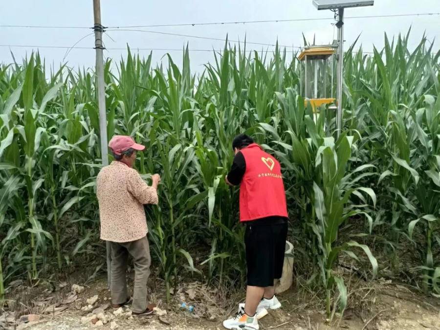 青春守望麦田 济宁市技师学院为乡村产业振兴添“彩”