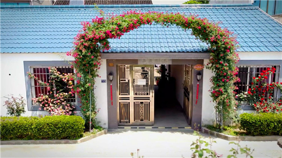 苏州相城阳澄湖农家小庭院展现美丽大风景_fororder_6