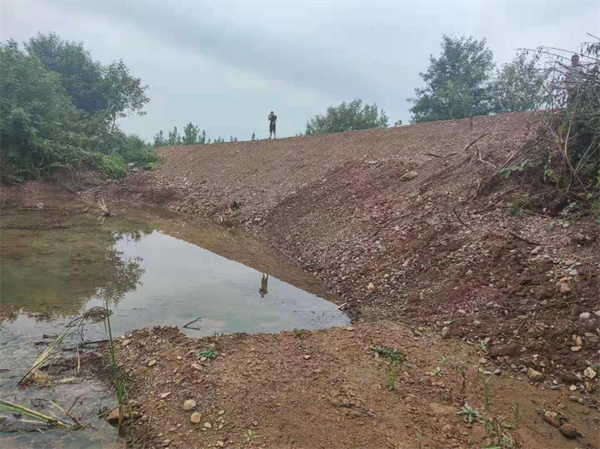 湖北京山市宋河镇:一条代表建议 百米利民河堤_fororder_图片12