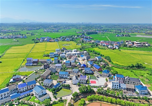 一张文化网的脉动