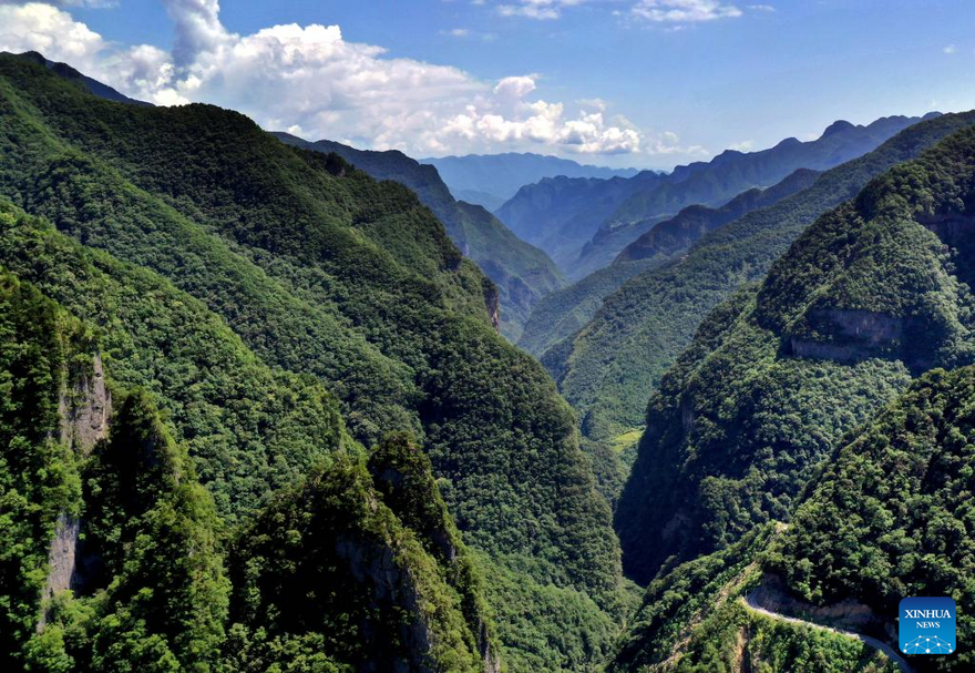 View of Chongqing Wulipo National Nature Reserve in Wushan County, Chongqing_fororder_图片10