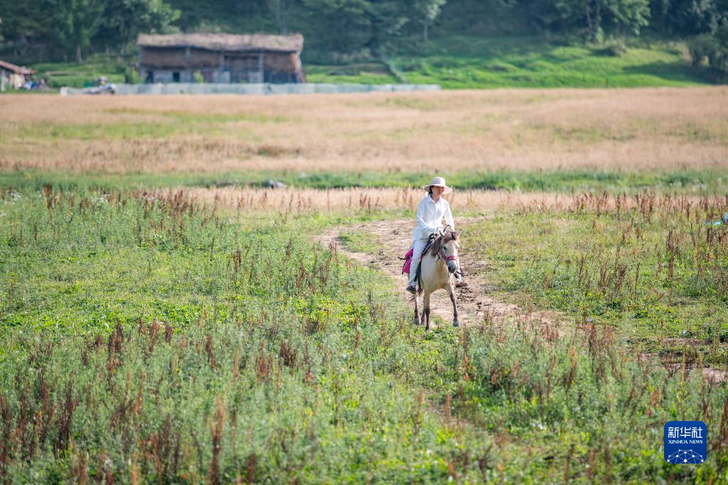 重庆巫溪:高山“避暑游”受青睐