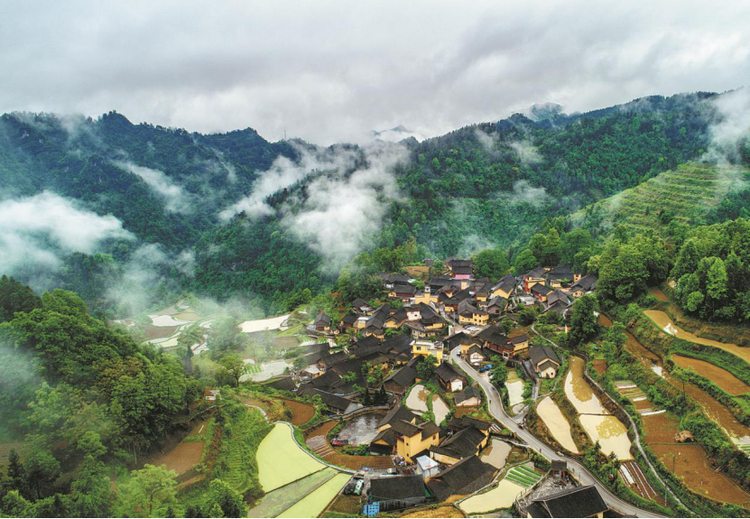“现在生活比我酿的蜂蜜还要甜!”这群苗族村民把日子过成“向往的生活”