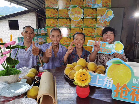 贵州碧江桐木坪乡发展黄桃产业带动群众创收150万