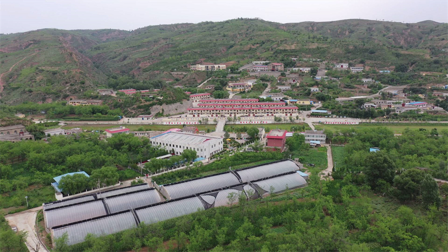 榆林市府谷县林业局:多措并举建设生态宜居乡村_fororder_图片12