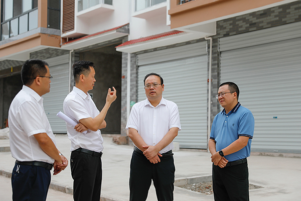 三多寨镇龙斗村建新区,新民镇白果冲建新区(一项目区,通过实地察看