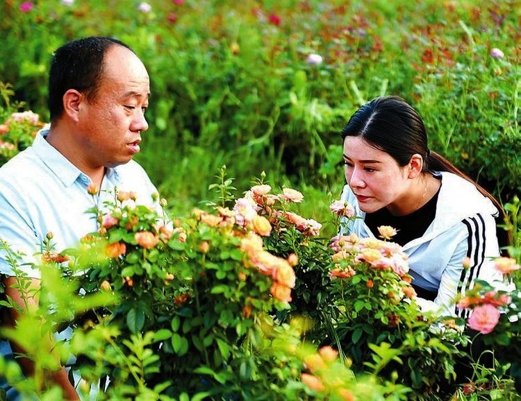 【河南在线】河南新蔡：鲜花绽放小康路