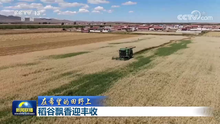 【在希望的田野上】稻谷飘香迎丰收