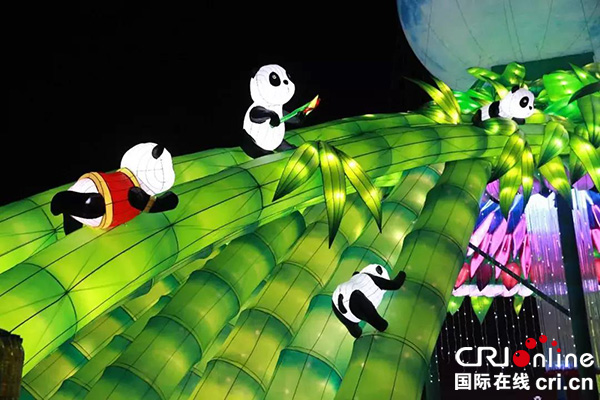 图片默认标题_fororder_雅安熊猫灯会（雅安市委宣传部-供图）-(9)