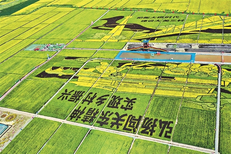 稻田公园清凉游