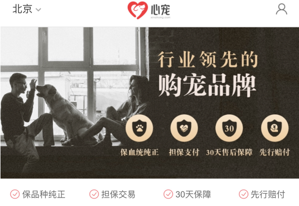 58同城旗下58心宠5周年强势回归 全面推动宠物服务行业升级 58同城旗下58心宠5周年强势回归 全面推动宠物服务行业升级