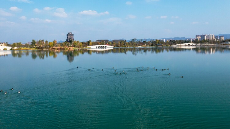 (转载)龙泉驿“城”长记:用公园城市“校对”产城融合发展