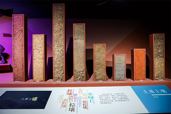 (差作者)成都新津:中华农耕文明馆农耕文明主题展览即将启幕_fororder_8种土壤模型-供图-成都新津区委宣传部