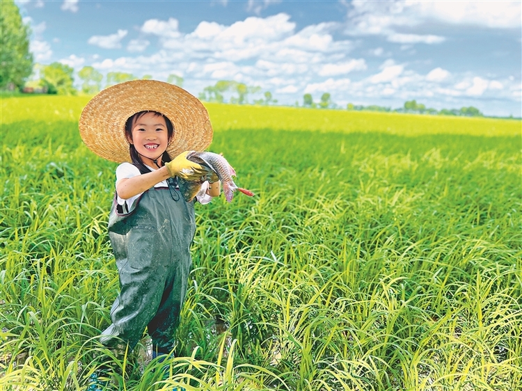 田园美景绘就林甸旅游新画卷